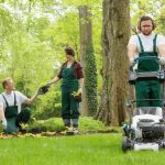 5 Ways Your Landscaping Business Is Enhanced By Effective Branding
